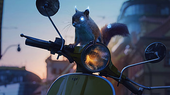 Squirrel Manipulation, squirrel, manipulation, artist, artwork, digital-art HD wallpaper