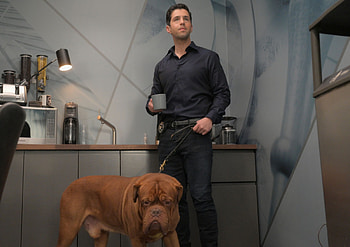 Josh Peck, Turner and Hooch, Tom Hanks, Dog drool HD wallpaper
