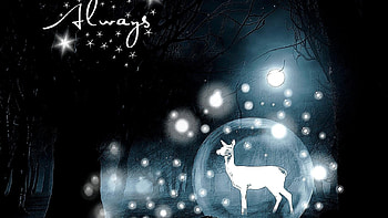 ... Harry Potter For Laptop Mobile HD wallpaper