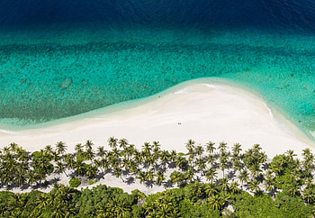 Nature, Beach, Palms, View From Above, Ocean, Island HD wallpaper