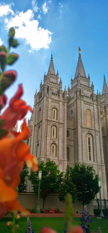 Salt Lake City, Travels HD phone wallpaper