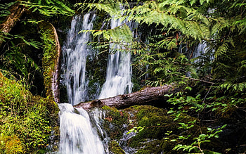 Madison Creek Falls at the Elwah River Lower Valley, cascades, rocks, washington, usa HD wallpaper
