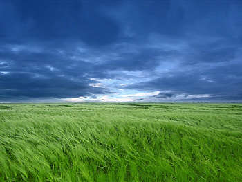 Landscape, Grass, Sky, Art HD wallpaper
