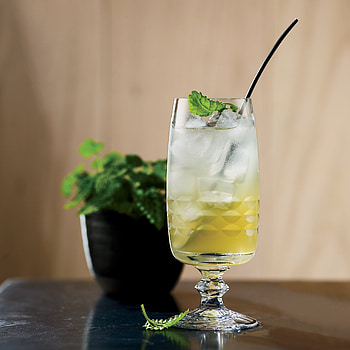 Lemon Balm recipe, Birds and bees, Refreshing herb, Food and wine HD phone wallpaper