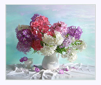 Pretty pansies, pansy, table, white, res, vase, colors, cup, pansies, wildflowers, purple, pink, pretty, petals, lavender, flowers, cloth HD wallpaper