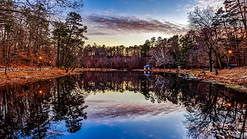 House Tall Trees Forest Background Under Blue Sky Reflection On Lake During Sunset Nature HD wallpaper