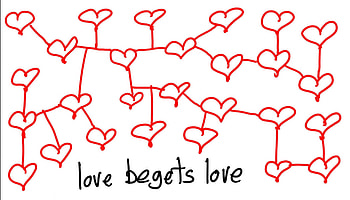 love begets, begets, love HD wallpaper
