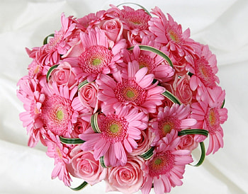 Pink beauty, sweet, pink, bouquet, roses, petals, flowers, gerbera HD wallpaper