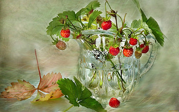 Berries HD wallpaper