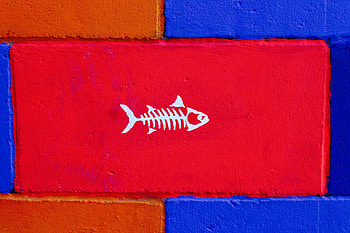 Art, Minimalism, Paint, Wall, Fish HD wallpaper
