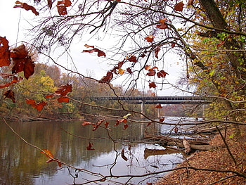 cape fear, river, capefear, bridge, water, forest HD wallpaper