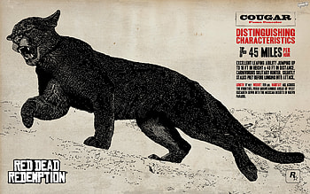 Red Dead Redemption, dead, redemption, cougar, red HD wallpaper
