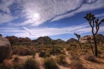 the deserts, deserts, trees, sky, nature, grass, land HD wallpaper