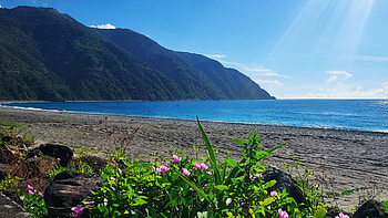 Dong'ao, Taiwan, landscape, sea, hills, coast, wildflowers HD wallpaper