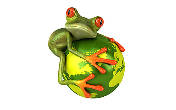 Funny, Animals, Frogs HD wallpaper