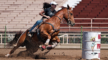 Equestrian lifestyle, Horse-themed , Passion for horses, Equestrian inspiration HD wallpaper