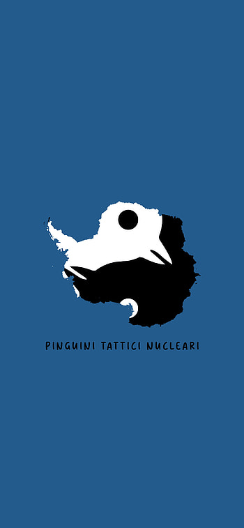 Antartide, Pinguini Tattici Nucleari HD phone wallpaper