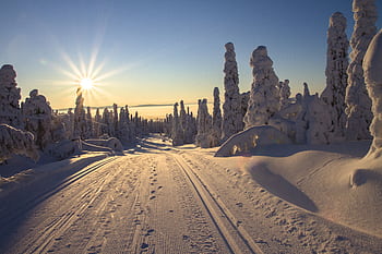 Sunset over a snowy landscape in Lapland, perfect for outdoor winter adventures. HD wallpaper