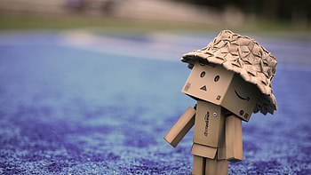 Danbo Cardboard Hat Walk, danbo, cute HD wallpaper