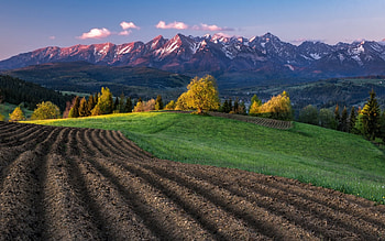 Fields and Mountains, autumn, trees, fields, mountains HD wallpaper