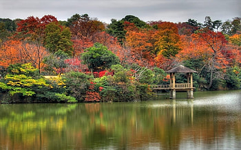 Landscape, Nature, Lakes HD wallpaper