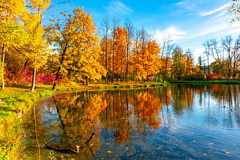 Autumn Park, Lake, Autumn, Sky, Trees HD wallpaper