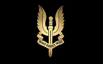 Special Forces Logo, Para SF HD wallpaper