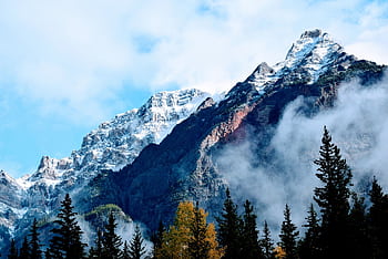Scenic view of snow-capped mountains with mist and trees in the foreground, perfect for nature lovers. HD wallpaper