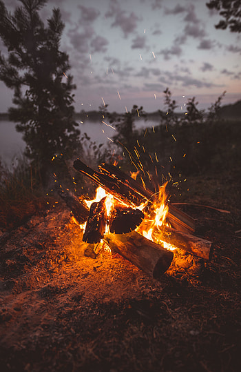 Fire, Bonfire, Dark, Sparks, Firewood HD phone wallpaper