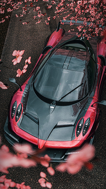 Sports, Flowers, Cars, View From Above, Car, Machine, Sports Car HD phone wallpaper