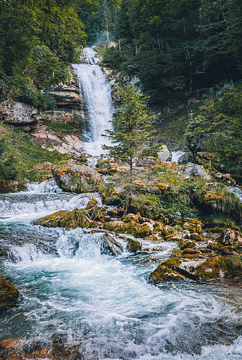 Majestic waterfall cascading through lush green forest in Brienz, Switzerland. HD phone wallpaper