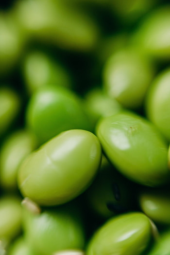 Edamame soja bio, Saatgut dachgemse HD phone wallpaper