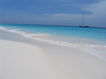 Sailboat in the Distance, boat, sand, ocean, beach HD wallpaper