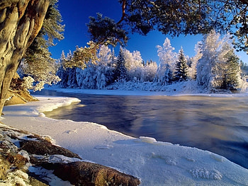 Landscape, Winter, Nature HD wallpaper