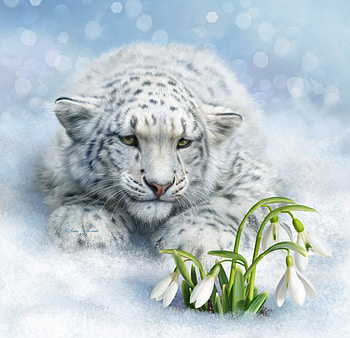 Art, Animals, Flowers, Leopard, Big Cat HD wallpaper