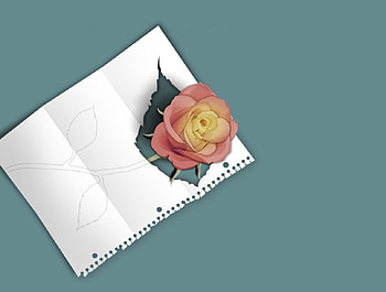 Imaginelove, leafy, white, love letter, flower HD wallpaper