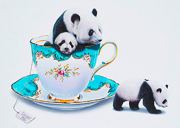 :), white, black, bear, cute, cup, panda, animal, blue, mini, jacub gagnon HD wallpaper