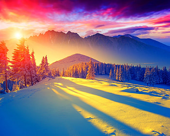 Winter sunrise, winter, sky, snow, sunrise HD wallpaper