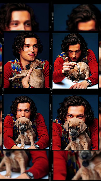 Tom Holland, jaw, tom_holland, graph, spiderman, cute, dog HD phone wallpaper