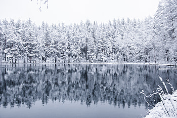 Winter, Nature, Snow, Lake, Reflection, Forest HD wallpaper