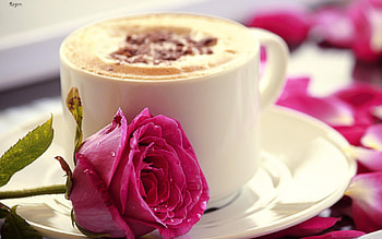 Have a sweet day!, sweet, white, chocolate, dessert, cup, valentine, rose, pink, day, petals, flower, coffee HD wallpaper