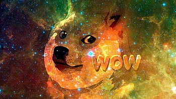 Humor - Doge HD wallpaper