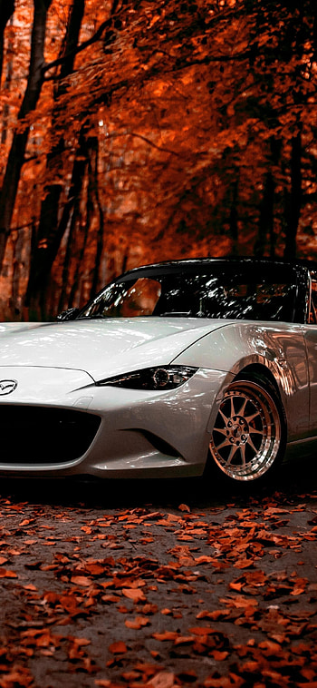 Mazda Auto, Off-road adventures, Autumn season, Sports car HD phone wallpaper