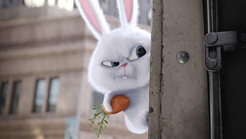 The Secret Life of Pets (2022) movie HD wallpaper