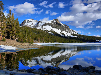 tioga lake, fun, nature, forest, lake, mountain HD wallpaper