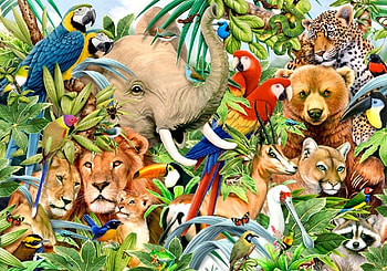 By Howard Robinson, animal, lince, cub, art, howard robinson, raccoon, lion, leopard, painting, elephant, parrot HD wallpaper