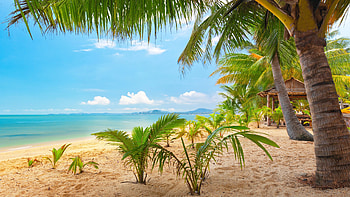 ultra high definition beach . Beach , Summer landscape, nature , Sand HD wallpaper