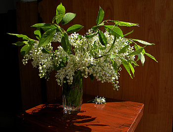 Flowers, Bouquet, Vase, Table HD wallpaper