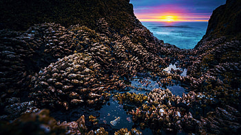 Right next to Thor's Well, Oregon, rocks, sunset, sea, colors, clouds, sky, usa HD wallpaper