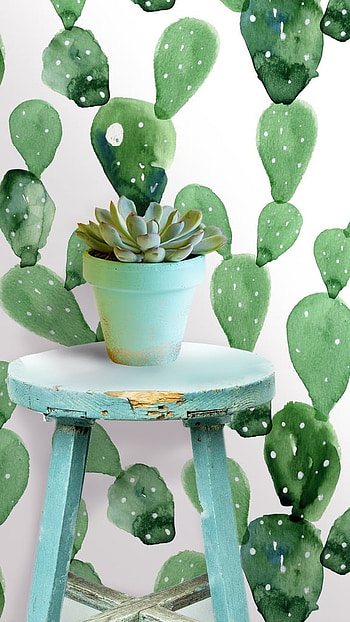 Peel And Stick, Cactus Design HD phone wallpaper